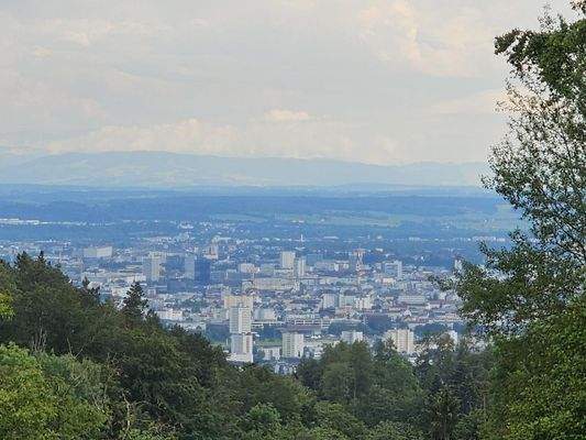 mit Blick auf Linz