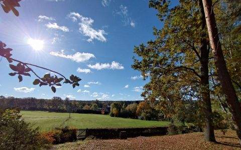 Schildau Grundstücke, Schildau Grundstück kaufen