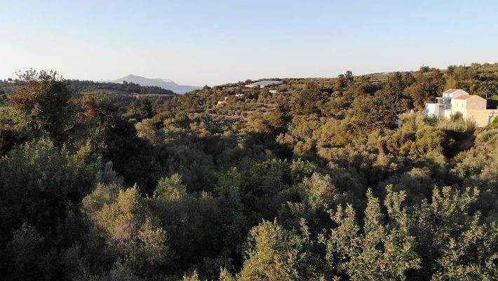 Kreta, Ag. Pavlos: Malerisches Grundstück in der Nähe von Gavalochori zum Verkauf