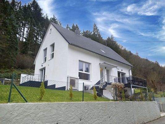 Front- /Seitenansicht