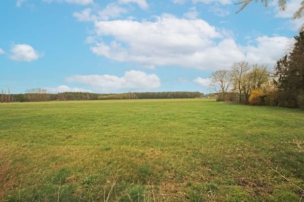 Blick auf das Grundstück