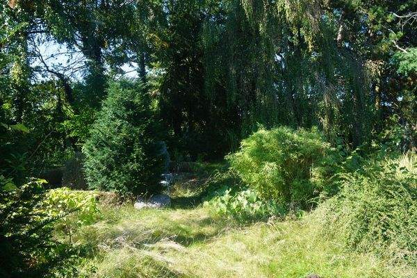 verwunschener Garten 2