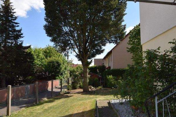 gewachsener Baumbestand