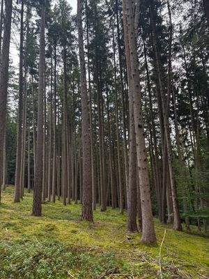 2025-08-22 15.37.38.jpg