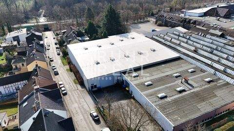 Solingen Halle, Solingen Hallenfläche