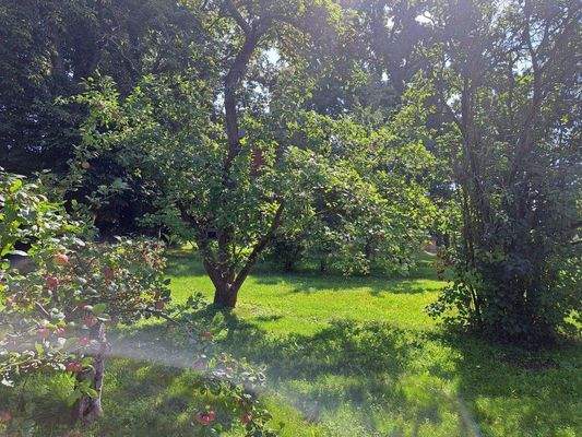 Ansicht Grundstück.jpg