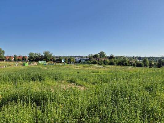 Blick über Grundstück