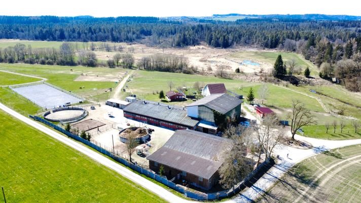 Bild 19