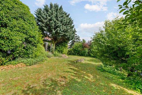     Ihr zukünftiger Garten?