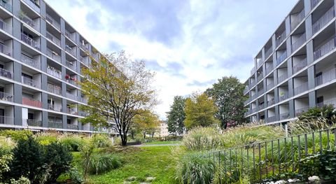 Frankfurt Wohnungen, Frankfurt Wohnung mieten