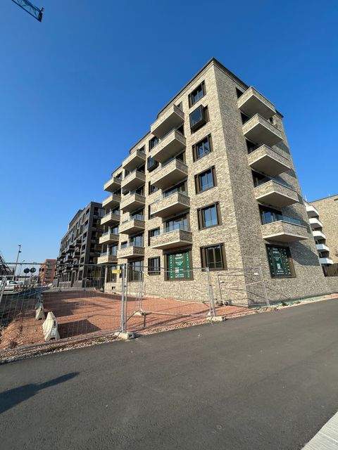 Mainz Wohnungen, Mainz Wohnung mieten