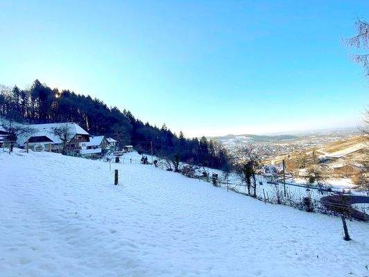 Hofstelle trohnt über dem Achertal