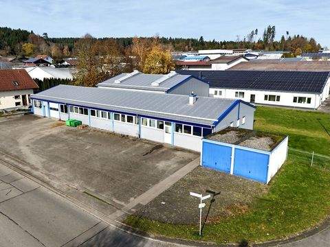 Villingendorf Halle, Villingendorf Hallenfläche