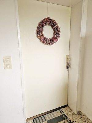 Wohnungseingangstür