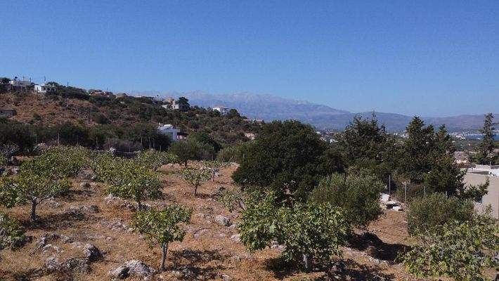 Kreta, Kokkino Chorio: Ruhiges Landgrundstück mit Dorfnähe zu verkaufen