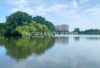 Großer Schillerteich