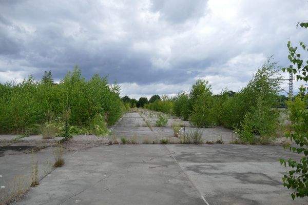 Grundstück            .jpeg