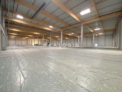 Köln Halle, Köln Hallenfläche