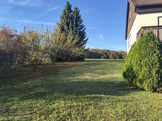 seitlicher Blick Garten_1