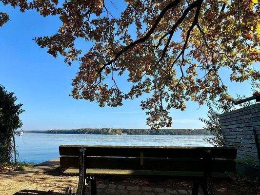 Zeuthener See (1).jpg