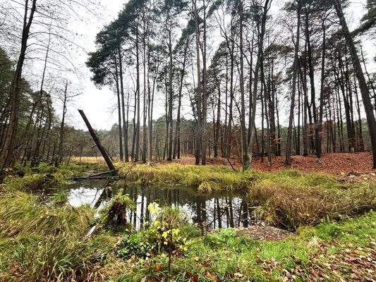 Lassen Sie sich von der Natur verzaubern