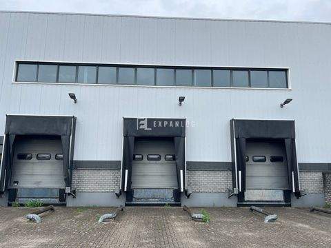 Köln Halle, Köln Hallenfläche