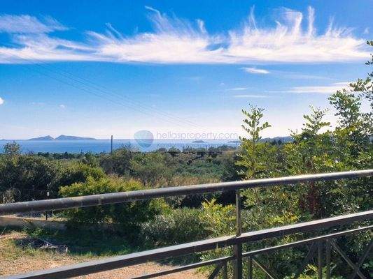 69ecfc1b18564f23935a2577eba495f4-original