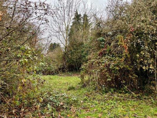 Garten / 2. Grundstück