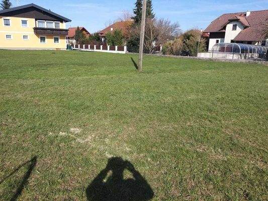 Ansicht: Grundstück - Neukirchen an der Enknach bei Braunau Kauf