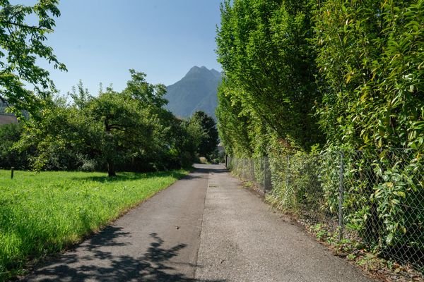 Blick von der Privatstraße, die zum Grundstück führt