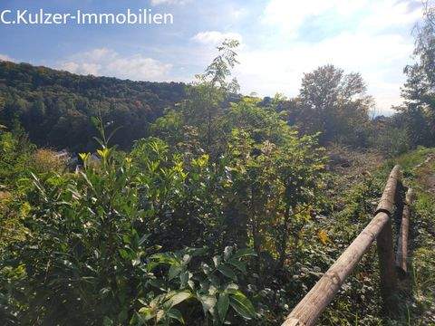 Lörrach Grundstücke, Lörrach Grundstück kaufen