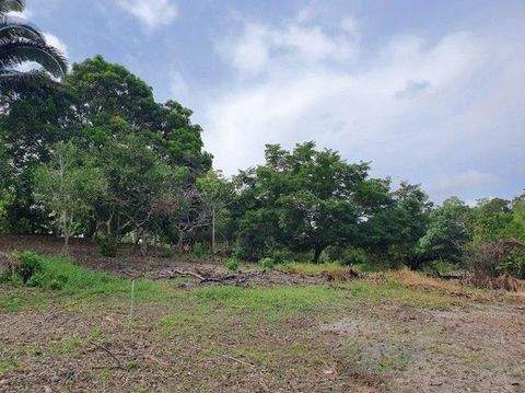 tefe Grundstücke, tefe Grundstück kaufen