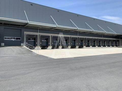 Köln Halle, Köln Hallenfläche