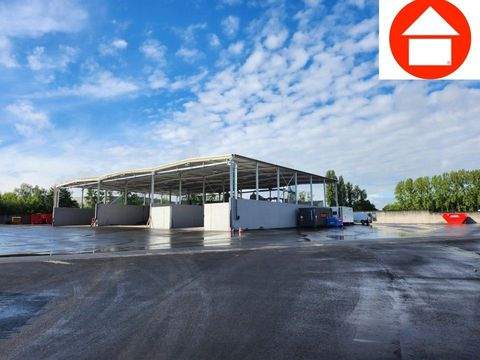 Datteln Halle, Datteln Hallenfläche