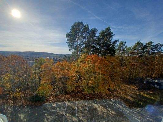 Herbstliche Waldlandschaft