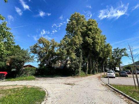 Nettingsdorf Wohnungen, Nettingsdorf Wohnung kaufen