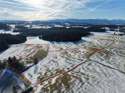 Peiting Grundstücke, Peiting Grundstück kaufen