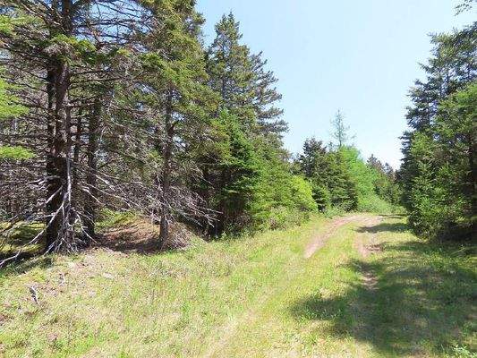 Cape Breton - 11,4 Hektar inmitten einer herrliche