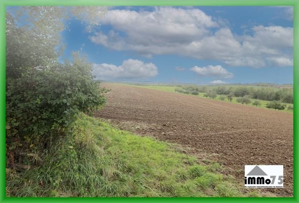 landwirtschaftliche Fläche