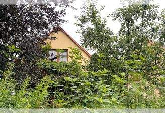 Leben in altem Gemäuer
