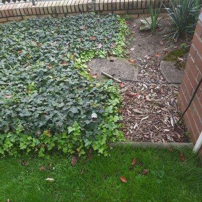 Zisterne mit Elektropumpe