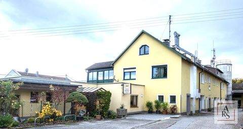 Arbing Halle, Arbing Hallenfläche