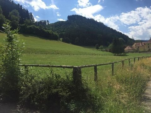 Judenburg Industrieflächen, Lagerflächen, Produktionshalle, Serviceflächen