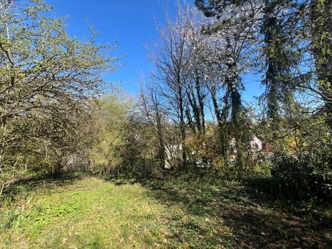Nußbaum Grundstücke, Nußbaum Grundstück kaufen