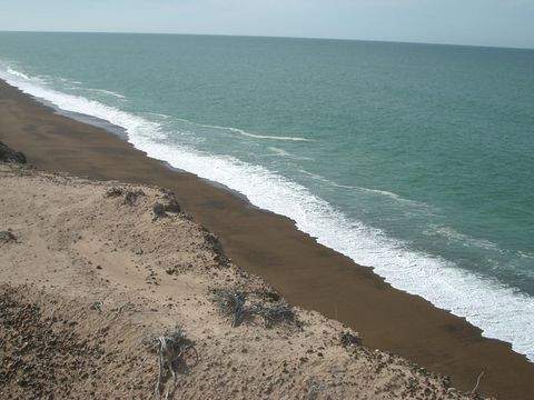 Rawson Bauernhöfe, Landwirtschaft, Rawson Forstwirtschaft