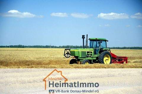 Zusmarshausen Bauernhöfe, Landwirtschaft, Zusmarshausen Forstwirtschaft