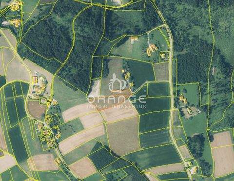 Bad Griesbach im Rottal / Weng Bauernhöfe, Landwirtschaft, Bad Griesbach im Rottal / Weng Forstwirtschaft