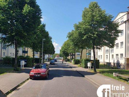 Umfeld mit Blick nach Süden 