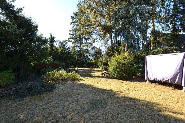 Baugrundstück front