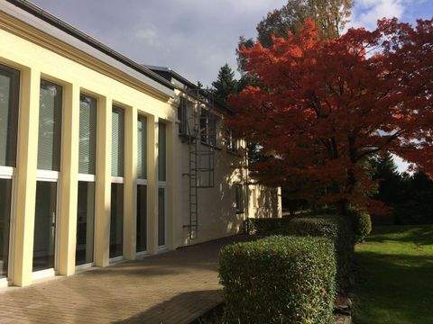 Chemnitz Halle, Chemnitz Hallenfläche